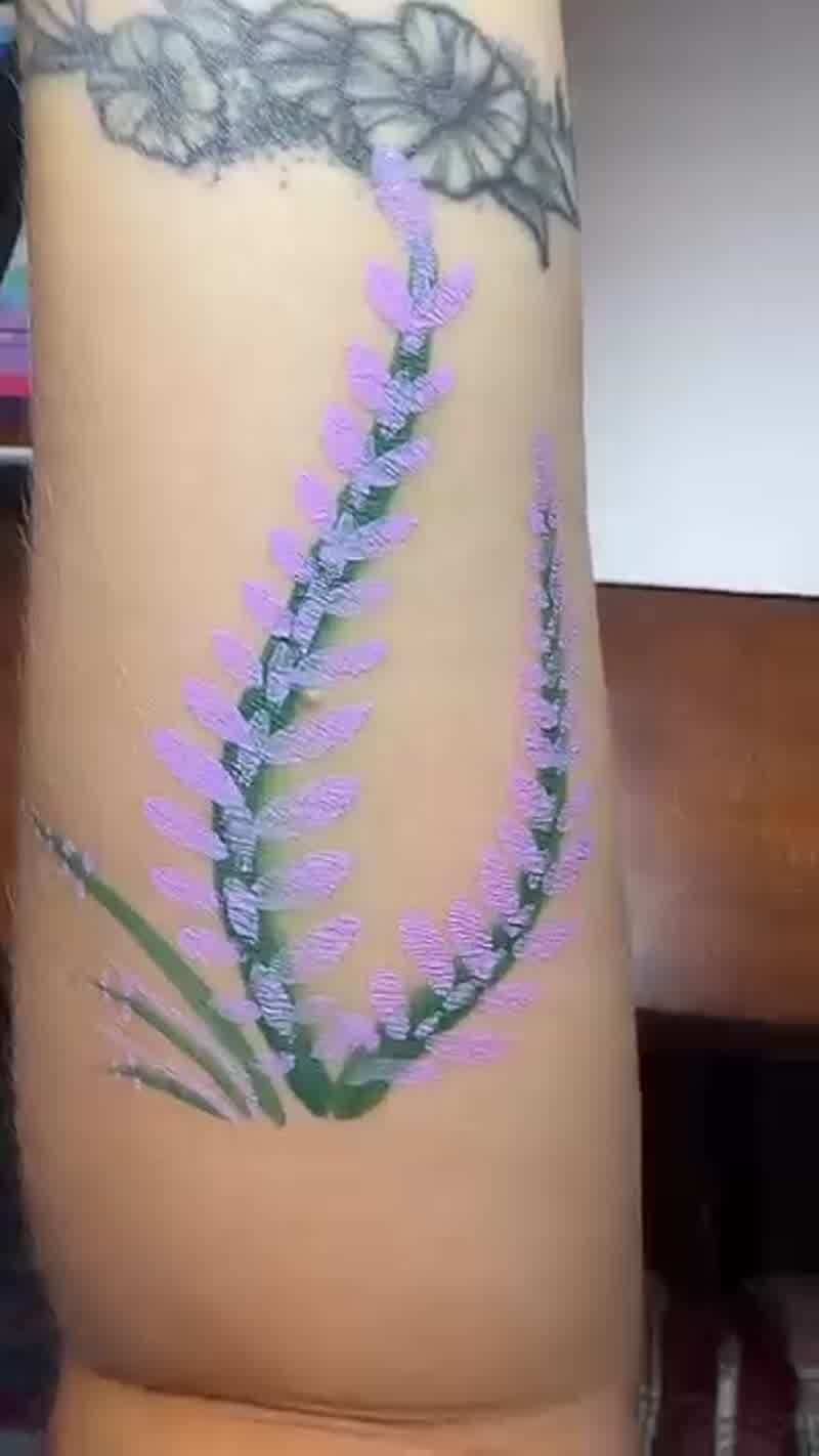 Lavender, Step by Step